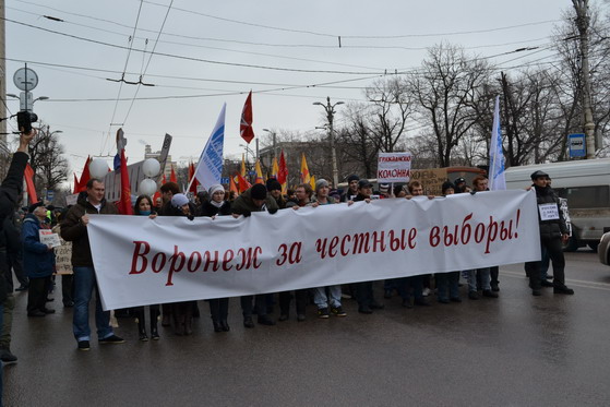 В Воронеже собраны подписи за возвращение всенародных выборов мэра