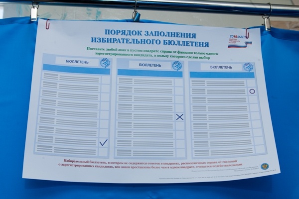 Почти миллион жителей Воронежской области проголосовали за Владимира Путина