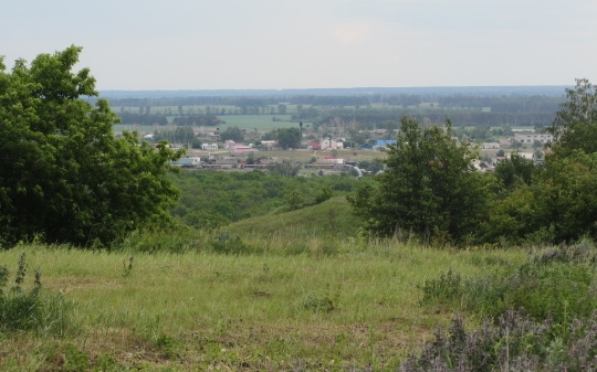 Правительство Воронежской области получило право отдавать землю без торгов
