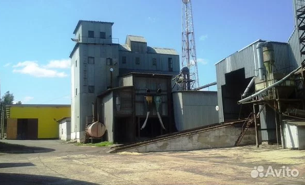 Производитель круп из Воронежа продает свои активы за 600 млн рублей