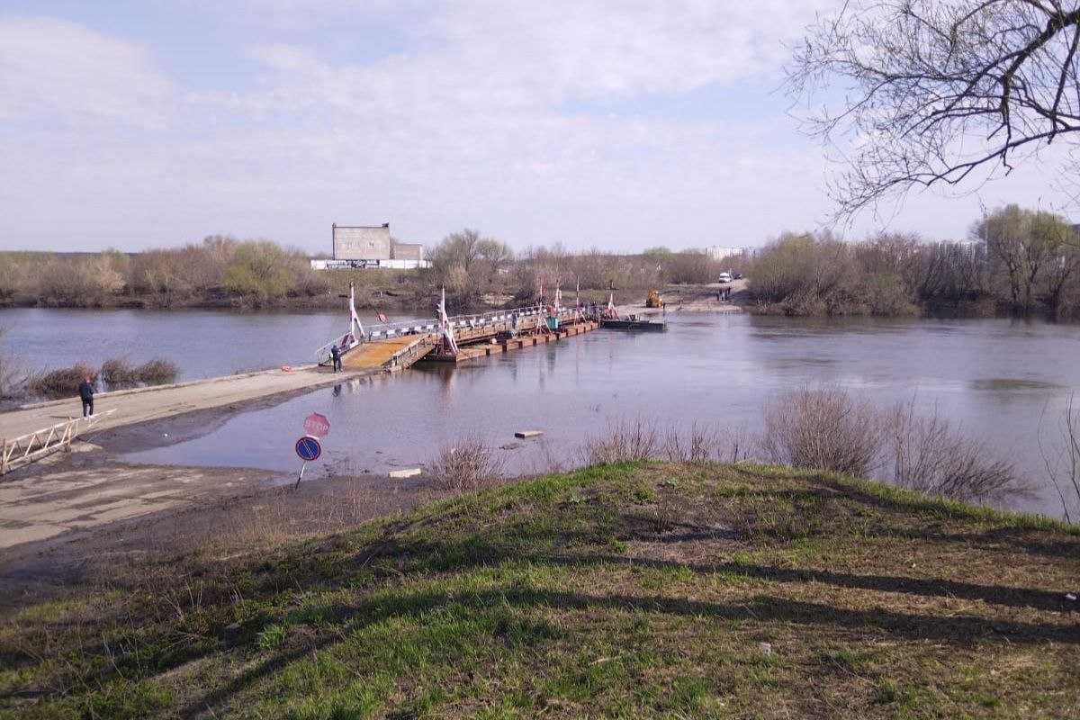 Мост через дон воронеж шилово. Понтонный мост в Шилово. Понтонный мост Новоживотинное. Понтонный мост через Дон в Воронеже Шилово. Понтонный мост Воронежская область Богучарский район.