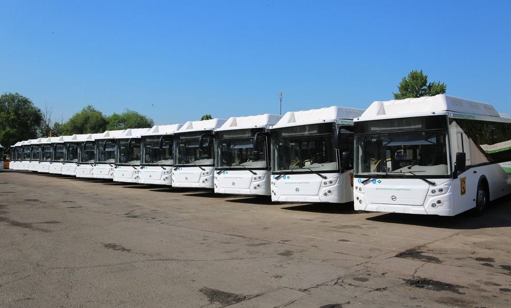 На сэкономленные деньги воронежские власти купили несколько автобусов с кондиционером