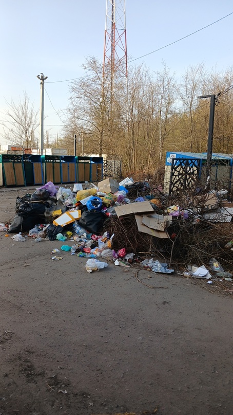 Жители Семилук массово жалуются на мусорные свалки у себя во дворах