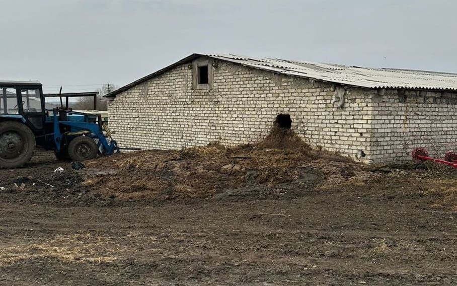 Воронежского фермера осудили на 10,5 млн рублей за «реки крови» в селе Масловка