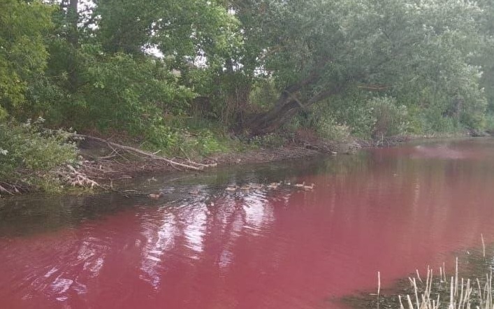 Река в районе Воронежской области окрасилась в красно-бурый
