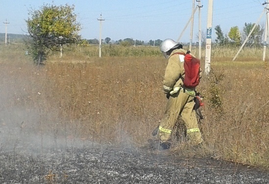 На поле в Воронежской области сгорели 24 гектара пшеницы