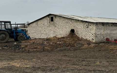 Воронежского фермера принудили заплатить 13 млн рублей за кровь и испражнения 