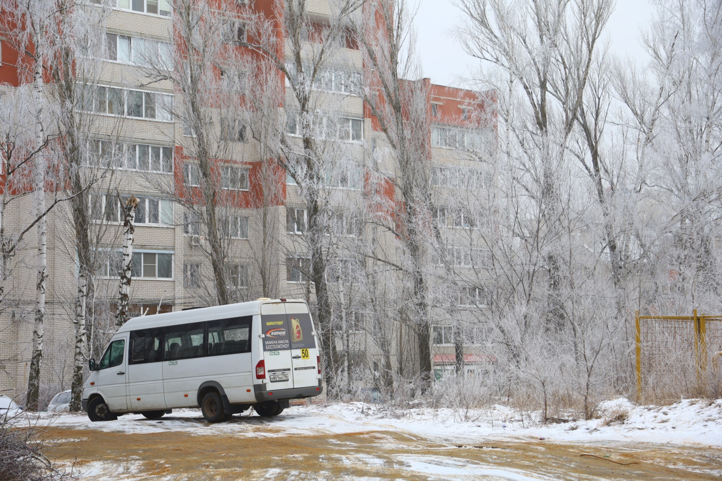 Остановка по требованию: спор жителей ЖК «Спутник» и «Лесная поляна» за  автобус решит комиссия | Интернет-газета Время Воронежа