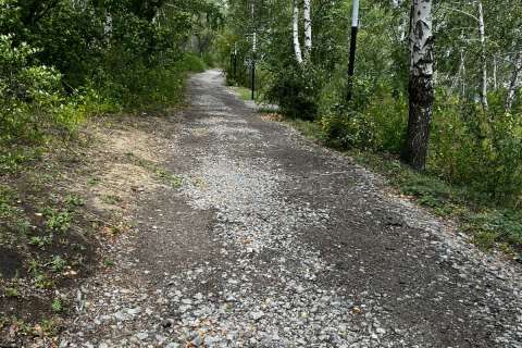 Дорожка для велороллеров в Калачеевском парке оказалась похожей на трассу для маунтинбайка