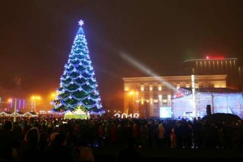 На муниципальный «Воронежгорсвет» пожаловались из-за тендера на установку елки на площади Ленина