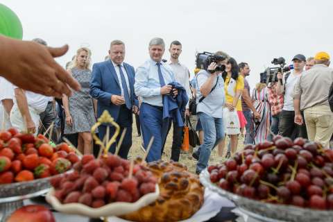Первое место по производству органических пищевых продуктов в России заняла Воронежская область