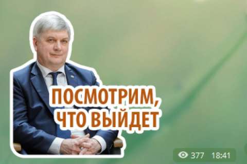 Пиар социальных проектов воронежского правительства обойдется в 5,3 млн 