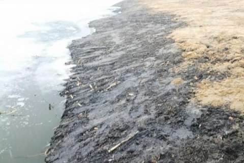 Донные отложения из воронежской реки Икорец обнаружили в прибрежной защитной полосе