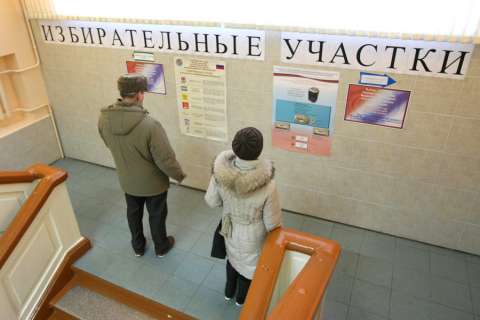 Воронежских наблюдателей не будут выгонять с участков за избыточную численность