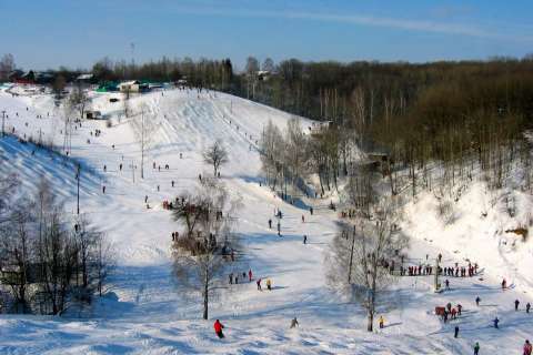Известный горнолыжный клуб под Воронежем могут закрыть 