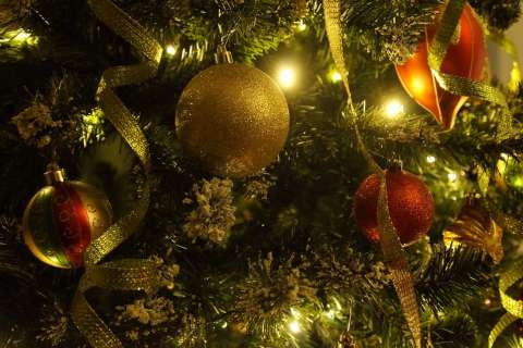 Установка новогодней елки в Воронеже обойдется в 1,8 млн рублей