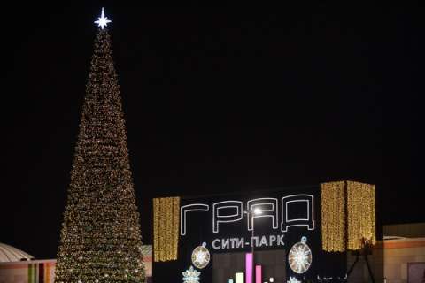Новогодняя елка у Сити-парка «Град» в Воронеже побила сразу два рекорда