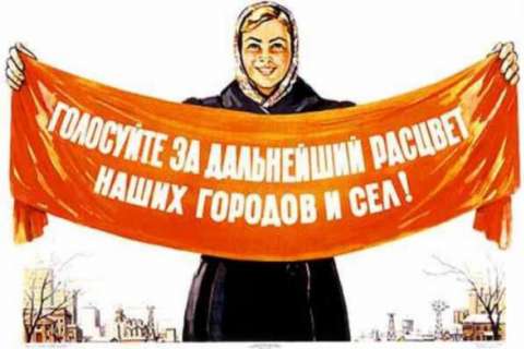 Под Воронежем образовалась очередь в депутаты сельсовета
