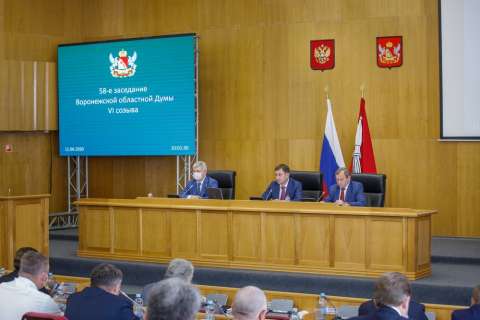 Выборы в Воронежскую областную Думу пройдут в сентябре 2020 года 