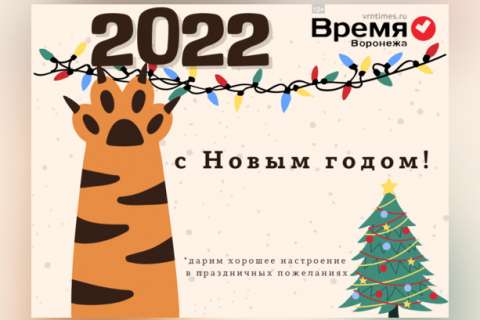 Редакция «Время Воронежа» поздравляет вас с Новым Годом