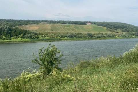 Экологи зафиксировали превышение загрязняющих веществ в реке Дон в Воронежской и Липецкой областях