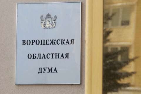 Свободный мандат воронежской облдумы могут передать врачу