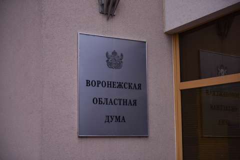 Дефицит казны Воронежской области произошел из-за избытка доходов