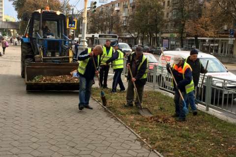 Воронежскую компанию внесли в реестр недобросовестных поставщиков за срыв озеленения города