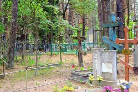 Воронежские бюджетные деньги до городских кладбищ не доходят