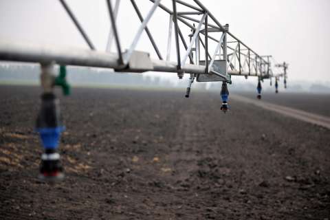 Воронежская почва пользуется спросом и предложением