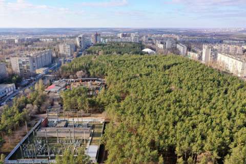 Потенциальный концессионер может вложить в воронежский парк «Танаис» 140 млн рублей
