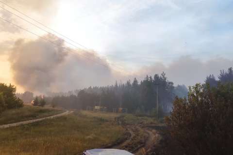 За сутки сгорело 130 га воронежского леса
