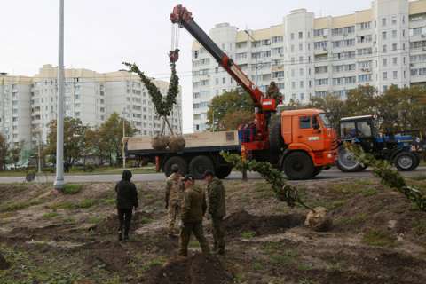 На озеленение Воронежа планируется потратить 18 млн рублей
