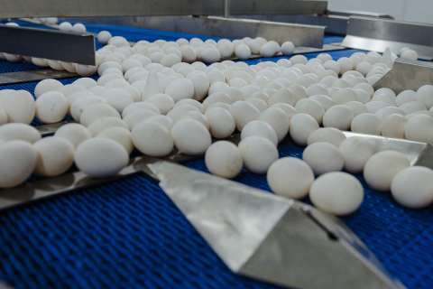 Яйца в Воронежской области подорожали на 10%