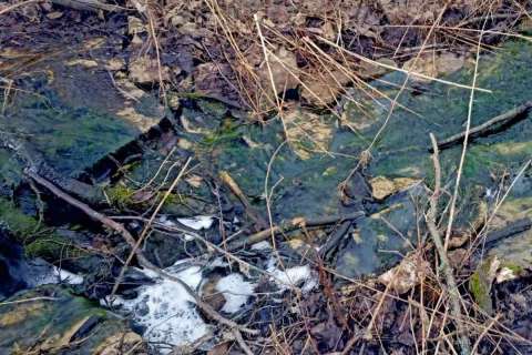 Слив нечистот в реку Воронеж планируется узаконить
