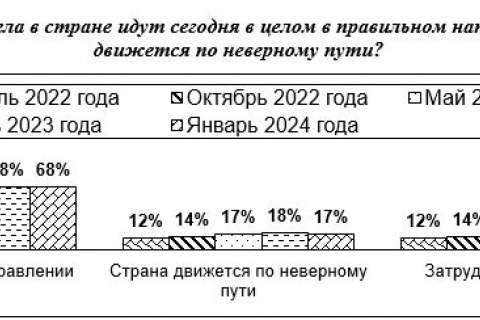 Подавляющее большинство жителей Воронежской области удовлетворены положением дел в стране