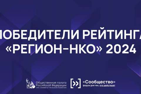 Работу воронежских НКО оценили на федеральном уровне