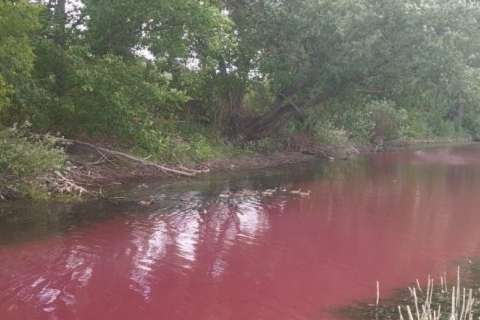 Река в районе Воронежской области окрасилась в красно-бурый
