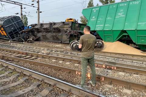 Причину схода восьми вагонов с зерном в Воронежской области назвал Следственный комитет 