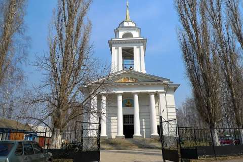 Власти Воронежской области за бюджетный счет реконструируют храм в селе Девица