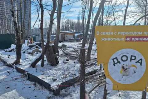 В Воронеже начался снос забора приюта для собак «Дора», который более 20 лет находился на левом берегу