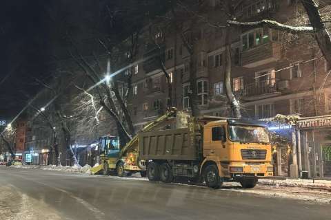 Более 8 тыс. «кубов» снега вывезли улиц Воронежа за ночь