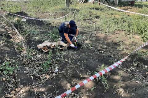 Владелец участка в Воронежской области возместил ущерб почвам после сброса канализационных стоков возле кафе «Помпончик»