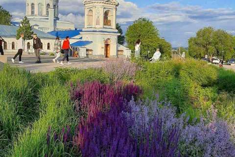 84% воронежцев требуют новых зеленых насаждений в городе