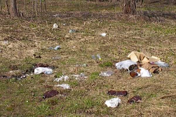 Место посадки инопланетян в Воронеже приведут в порядок Место посадки инопланетян в Воронеже приведут в порядок