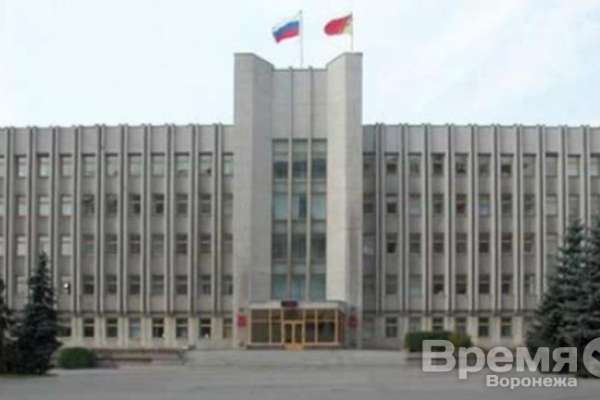 Выборы воронежского губернатора пройдут сквозь думу Выборы воронежского губернатора пройдут сквозь думу