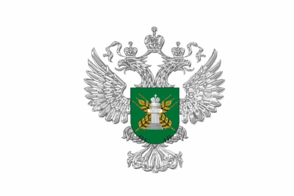 Воронежский альпака-парк Сергея Слабунова работал более 1,5 лет без лицензии Воронежский альпака-парк Сергея Слабунова работал более 1,5 лет без лицензии