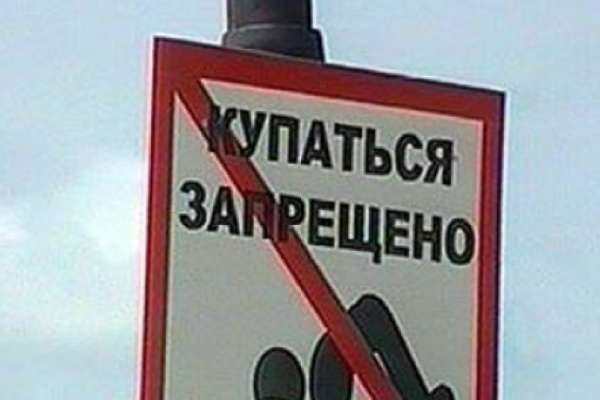 Самые популярные воронежские пляжи признаны непригодными для купания Самые популярные воронежские пляжи признаны непригодными для купания