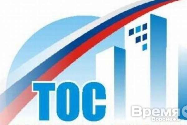 В Воронежской области создали общественное самоуправление В Воронежской области создали общественное самоуправление