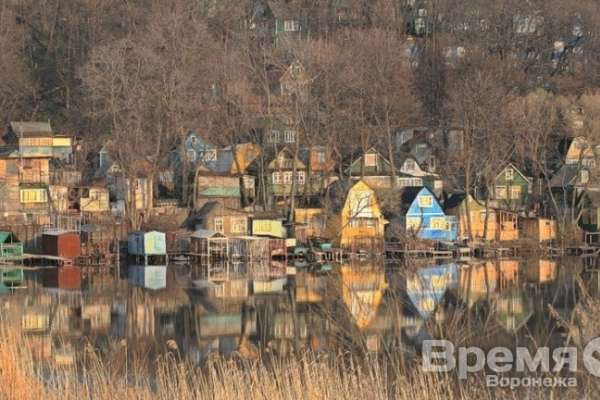 Радчино рамонский район фото